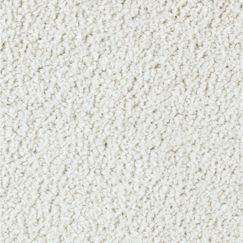 Mohawk Exquisite Attraction 2S13 Carpet - advancedflooring