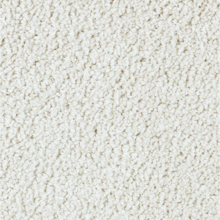 Mohawk Exquisite Attraction 2S13 Carpet - advancedflooring