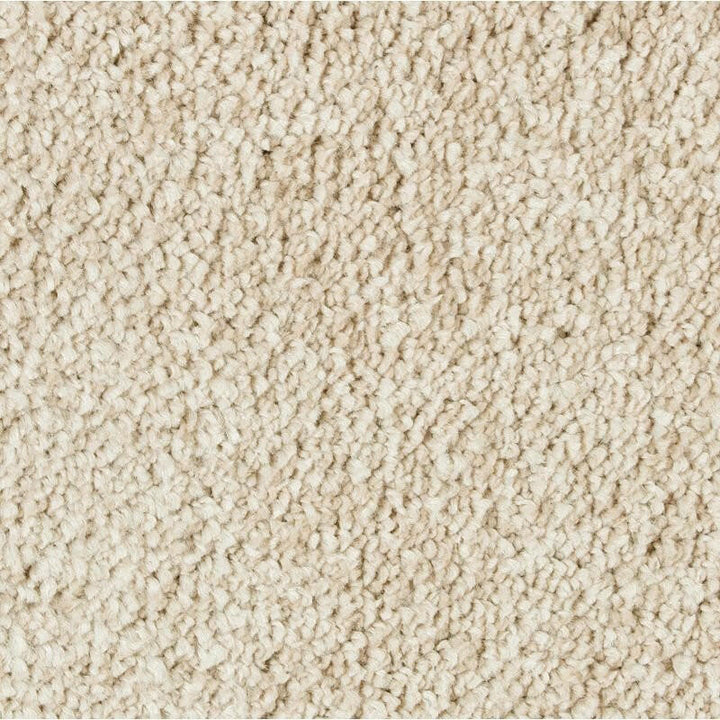Mohawk Exquisite Beauty 2S08 Carpet - advancedflooring