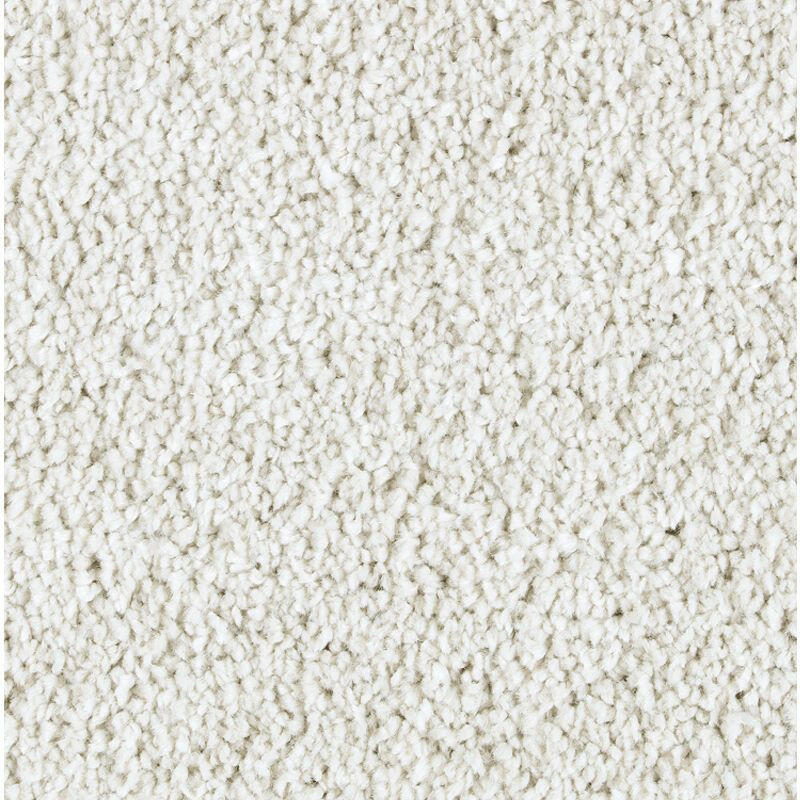 Mohawk Exquisite Beauty 2S08 Carpet - advancedflooring