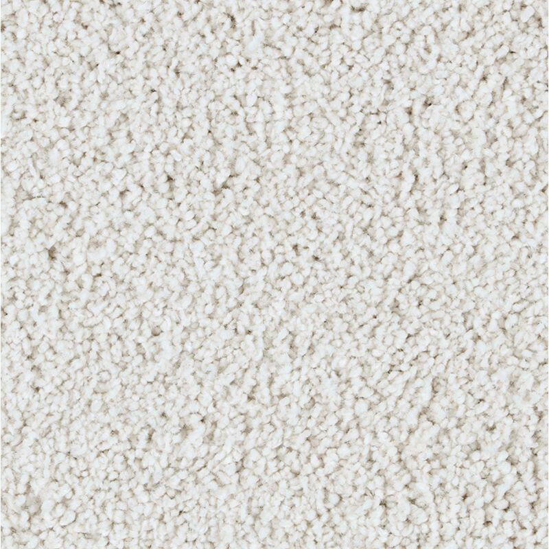 Mohawk Exquisite Beauty 2S08 Carpet - advancedflooring