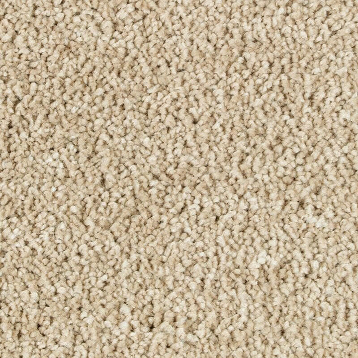 Mohawk Exquisite Beauty 2S08 Carpet - advancedflooring