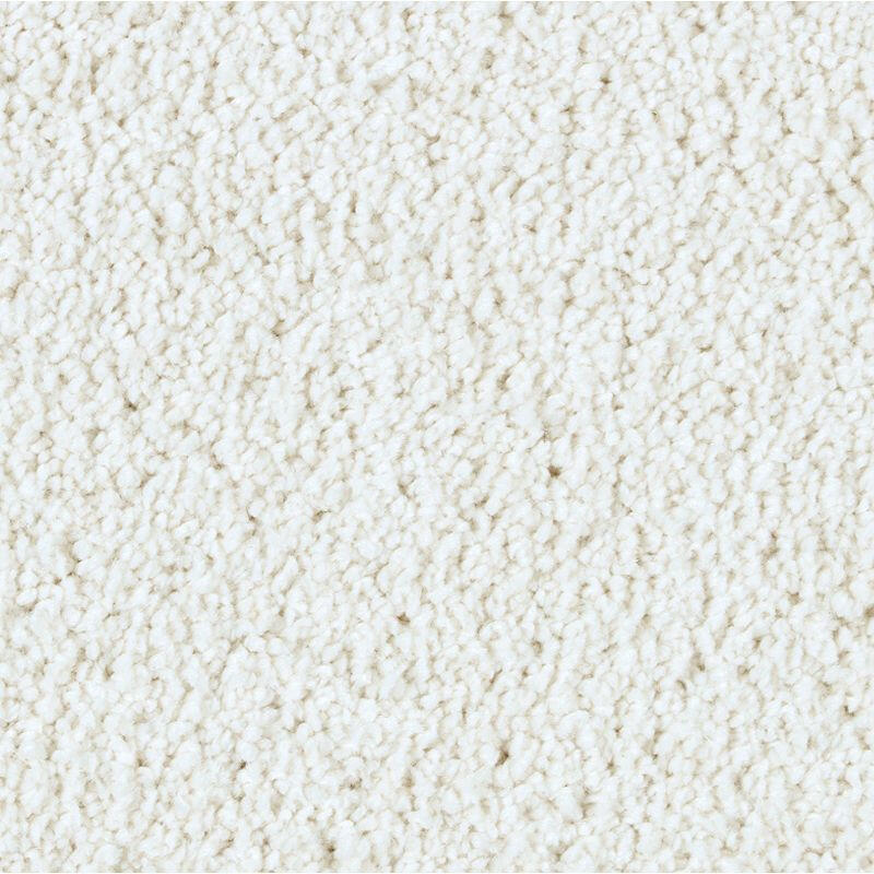 Mohawk Exquisite Beauty 2S08 Carpet - advancedflooring