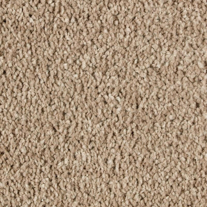 Mohawk Exquisite Beauty 2S08 Carpet - advancedflooring