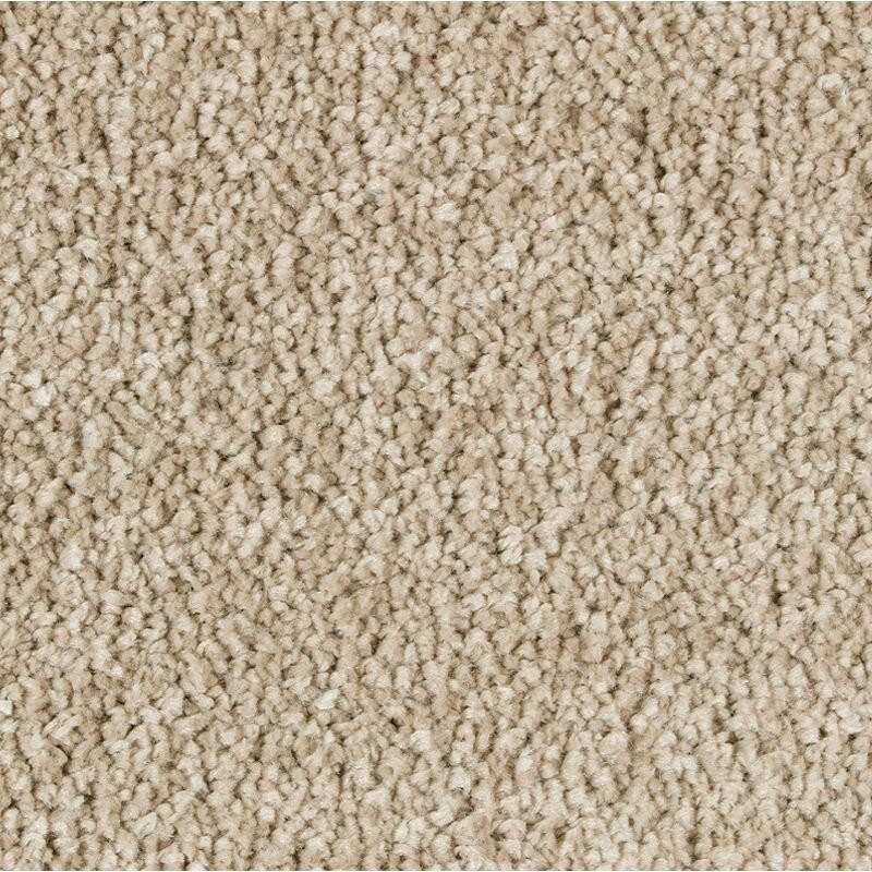 Mohawk Exquisite Beauty 2S08 Carpet - advancedflooring