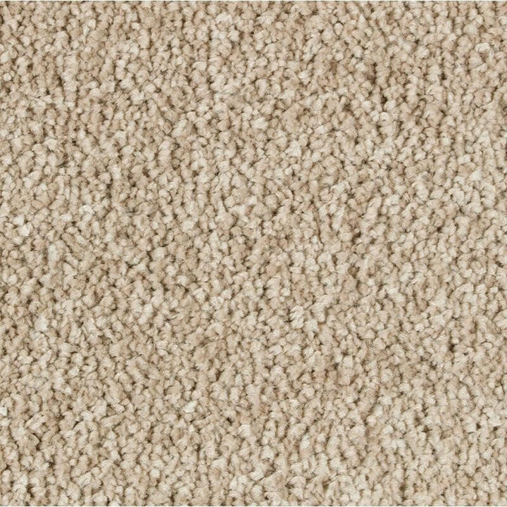 Mohawk Exquisite Beauty 2S08 Carpet - advancedflooring