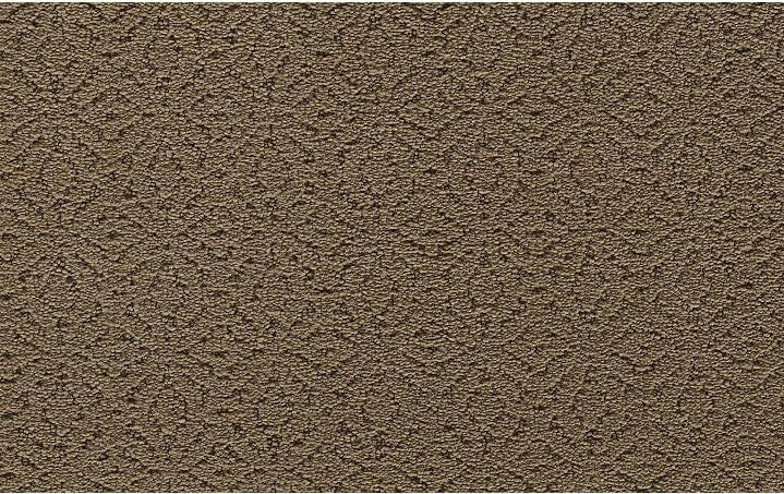 Mohawk EXQUISITE CHARM 2S38 Carpet - advancedflooring