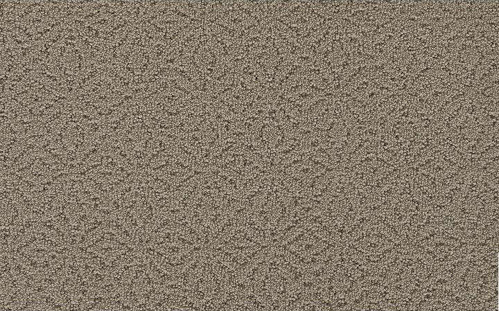 Mohawk EXQUISITE CHARM 2S38 Carpet - advancedflooring