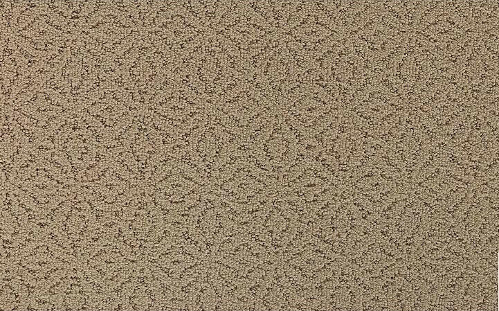 Mohawk EXQUISITE CHARM 2S38 Carpet - advancedflooring