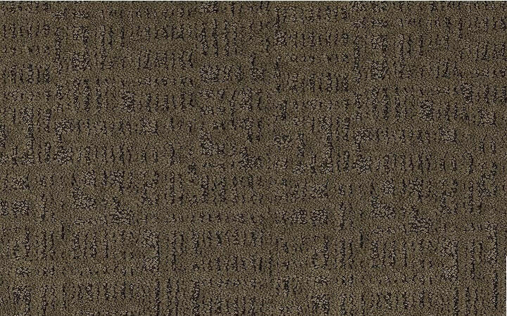 Mohawk EXQUISITE PORTRAIT 3B06 Carpet - advancedflooring