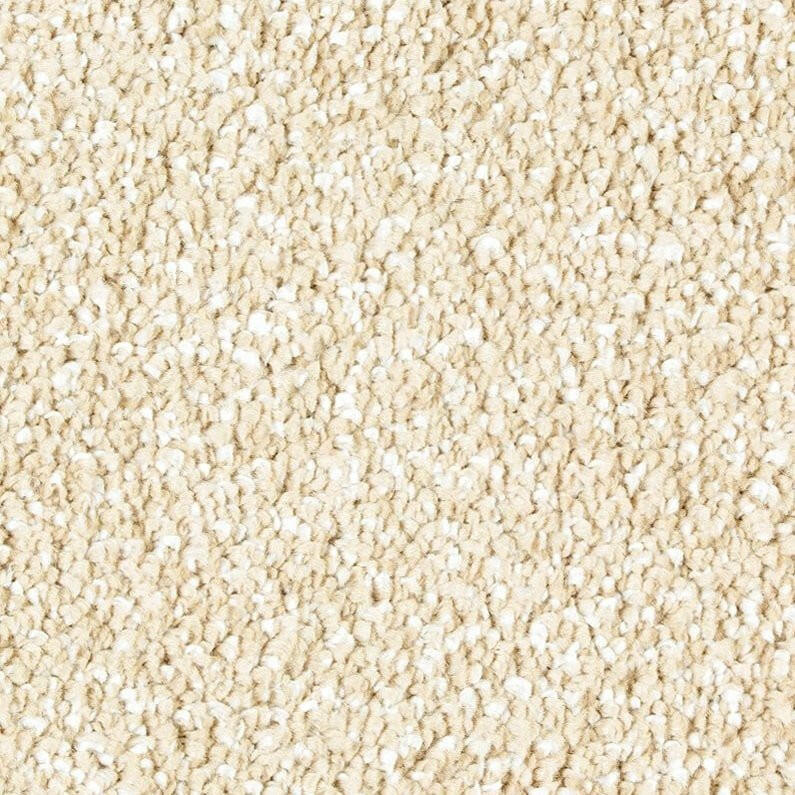 Mohawk Exquisite Shades 2S18 Carpet - advancedflooring