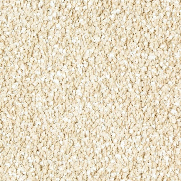 Mohawk Exquisite Shades 2S18 Carpet - advancedflooring