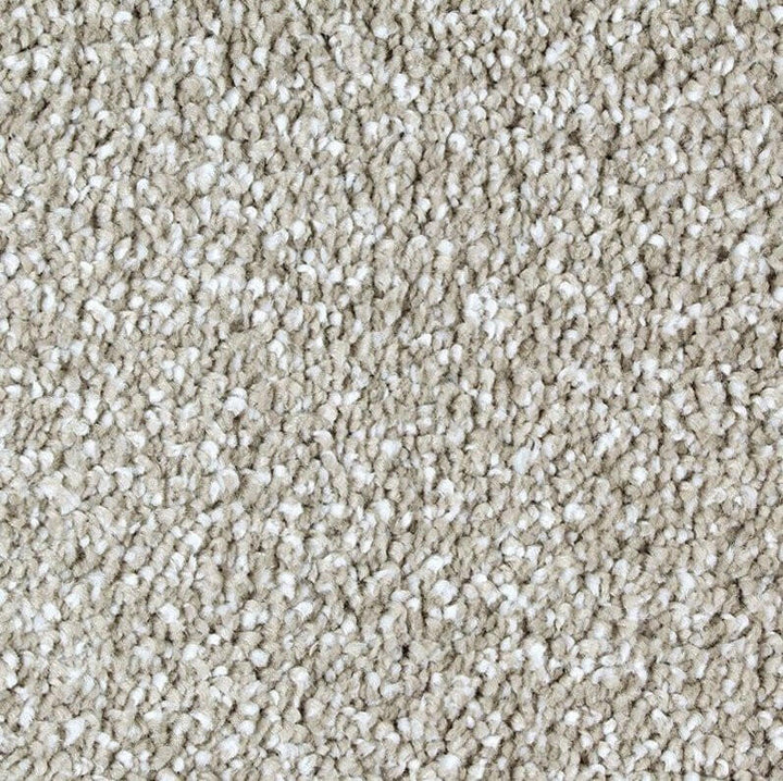 Mohawk Exquisite Shades 2S18 Carpet - advancedflooring