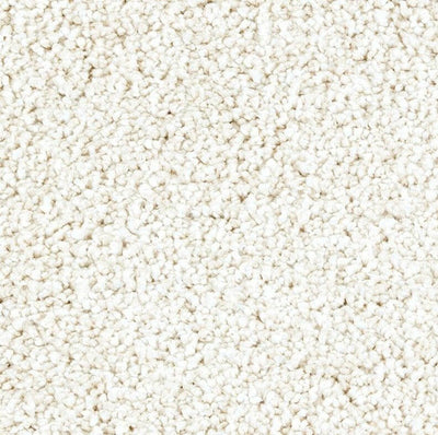 Mohawk Exquisite Shades 2S18 Carpet - advancedflooring