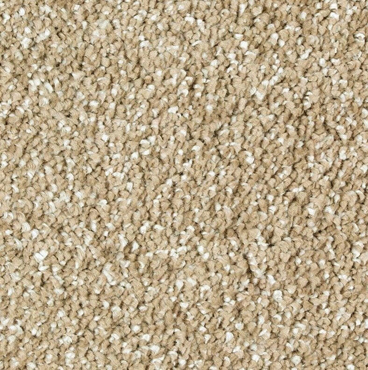 Mohawk Exquisite Shades 2S18 Carpet - advancedflooring