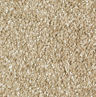 Mohawk Exquisite Shades 2S18 Carpet - advancedflooring