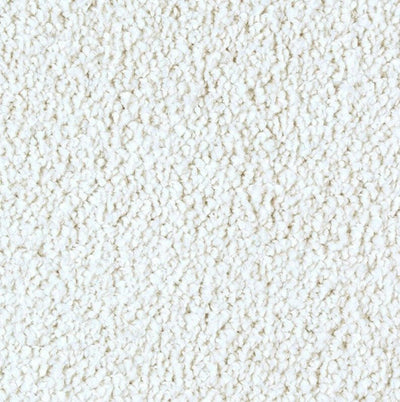 Mohawk Exquisite Shades 2S18 Carpet - advancedflooring