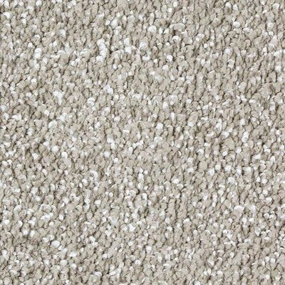 Mohawk Exquisite Shades 2S18 Carpet - advancedflooring