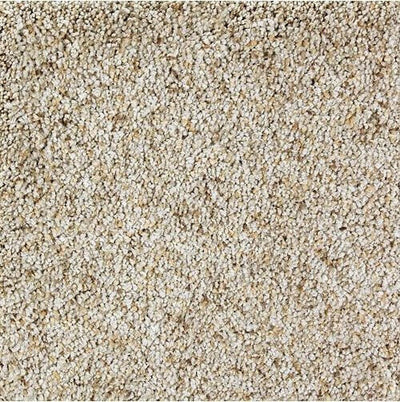 Mohawk Exquisite Style 2S33 Carpet - advancedflooring