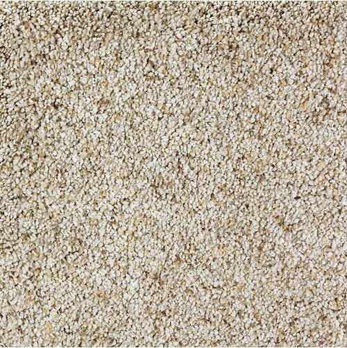 Mohawk Exquisite Style 2S33 Carpet - advancedflooring