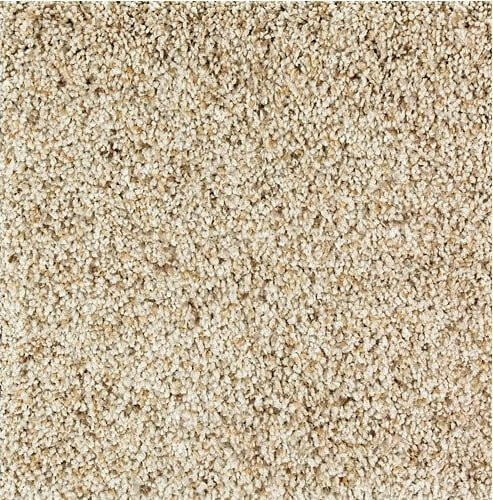 Mohawk Exquisite Style 2S33 Carpet - advancedflooring