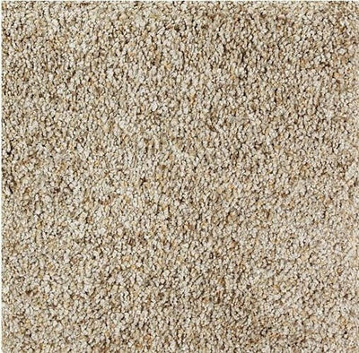 Mohawk Exquisite Style 2S33 Carpet - advancedflooring