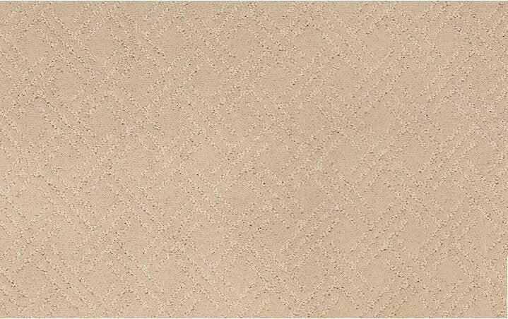 Mohawk EXQUISITE TOUCH 2S43 Carpet - advancedflooring