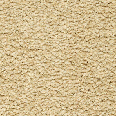 Mohawk Gentle Approach 2X90 Carpet - advancedflooring