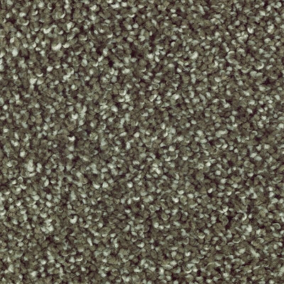 Mohawk Natural Refinement I 2N91 Carpet - advancedflooring