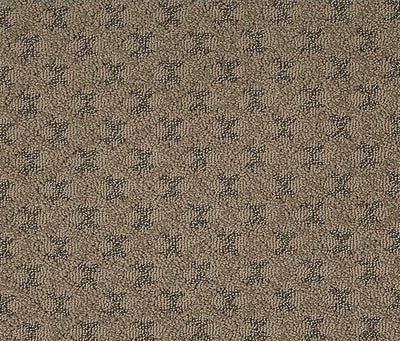 Mohawk OPULENT DETAILS 3F08 Carpet - advancedflooring