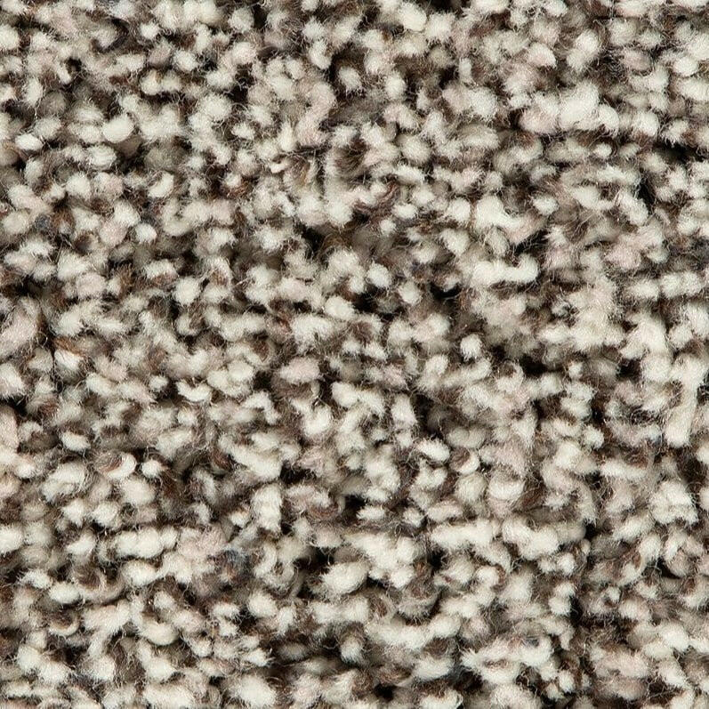 Mohawk Soft Accolade I 3A56 Carpet - advancedflooring