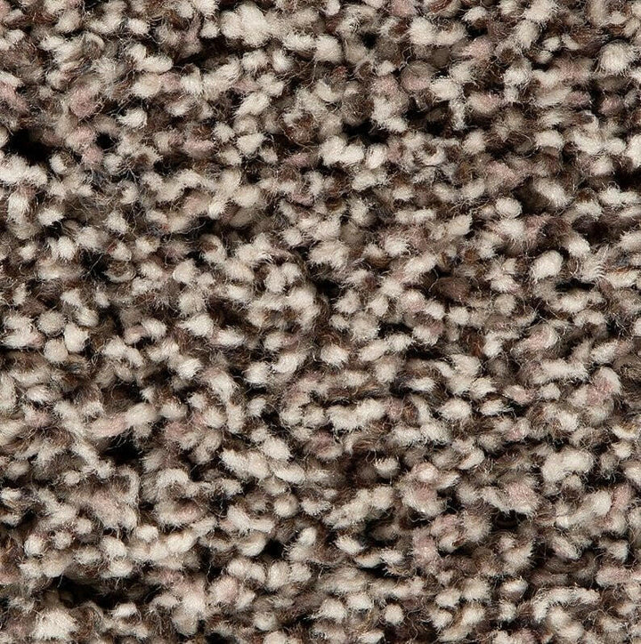 Mohawk Soft Accolade I 3A56 Carpet - advancedflooring