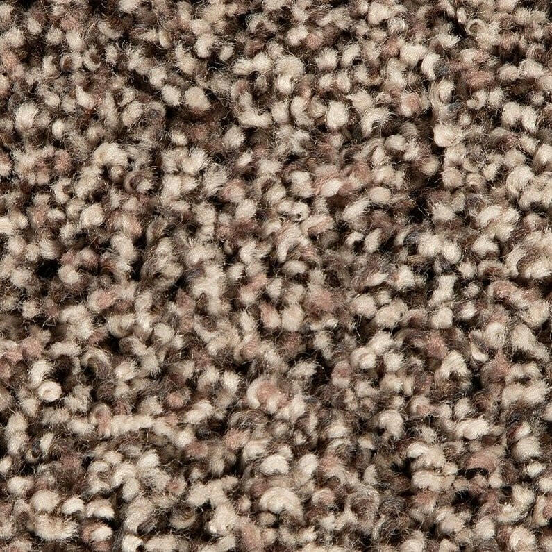 Mohawk Soft Accolade I 3A56 Carpet - advancedflooring