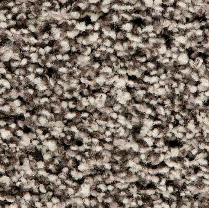 Mohawk Soft Accolade I 3A56 Carpet - advancedflooring