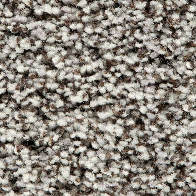 Mohawk Soft Accolade II 3A57 Carpet - advancedflooring