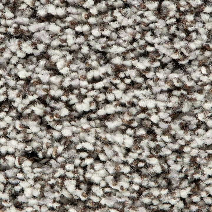 Mohawk Soft Accolade II 3A57 Carpet - advancedflooring