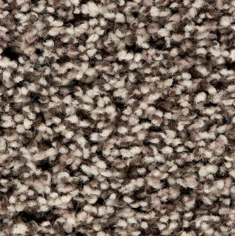 Mohawk Soft Accolade II 3A57 Carpet - advancedflooring