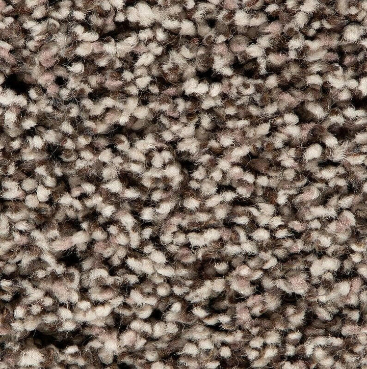 Mohawk Soft Accolade II 3A57 Carpet - advancedflooring