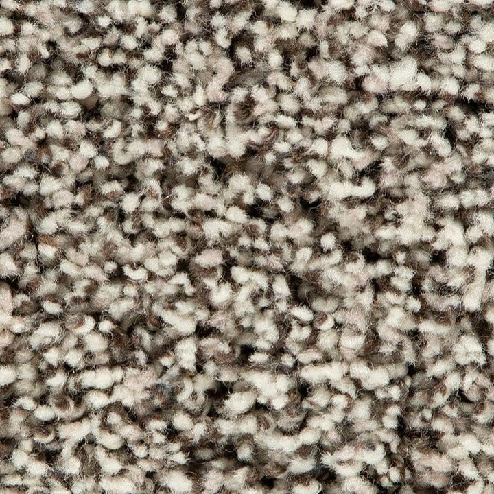 Mohawk Soft Accolade II 3A57 Carpet - advancedflooring