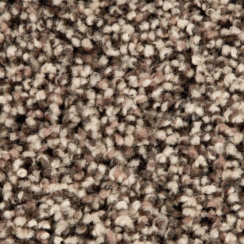 Mohawk Soft Accolade II 3A57 Carpet - advancedflooring