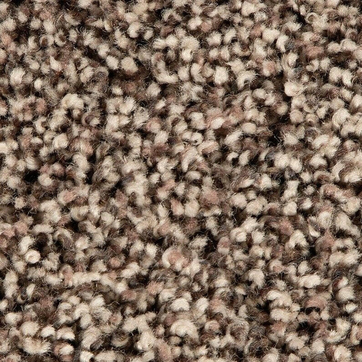 Mohawk Soft Accolade II 3A57 Carpet - advancedflooring