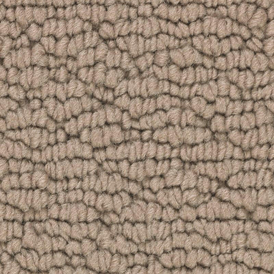 Mohawk TAILORED ESSENCE 2W18 Carpet - advancedflooring