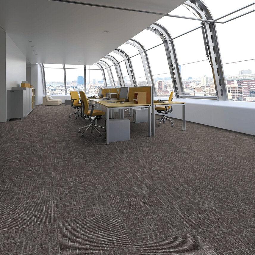 Nextfloor Commercial Carpet - Foundation 879 - advancedflooring