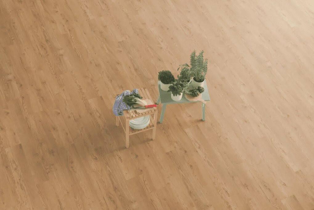Olchon Oak Honey EPL144 EGGER PRO Laminate - advancedflooring