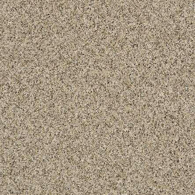 SHAW Absulutely It - advancedflooring