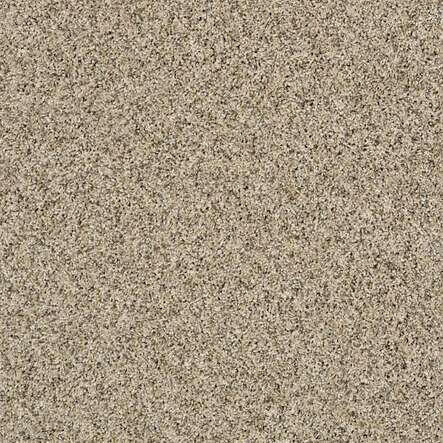 SHAW Absulutely It - advancedflooring