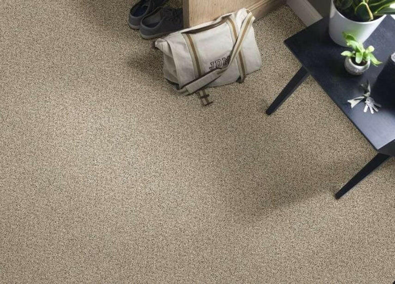 SHAW Absulutely It - advancedflooring