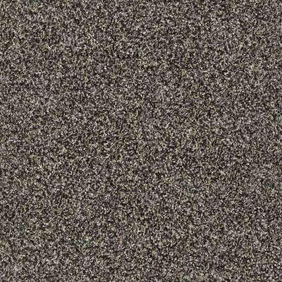 SHAW Absulutely It - advancedflooring
