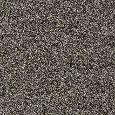 SHAW Absulutely It - advancedflooring