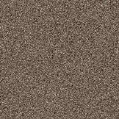 SHAW Absulutely It - advancedflooring